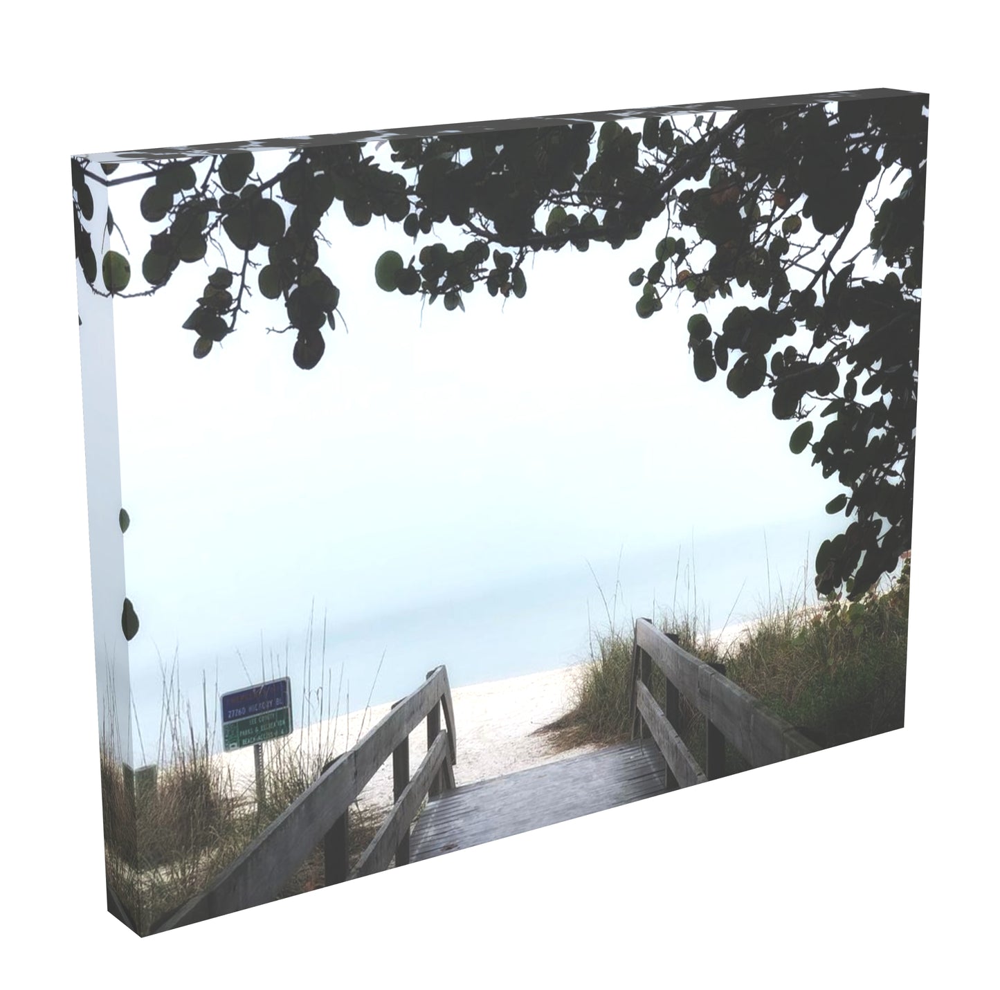 pathway to the beach Canvas print by jacqueline mb designs