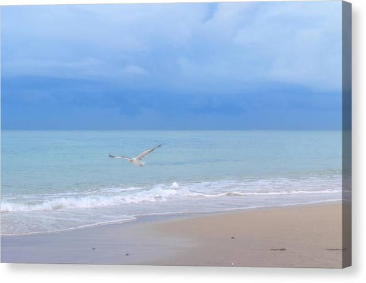 Peacefully Coasting over the Beach - Classic Canvas Print
