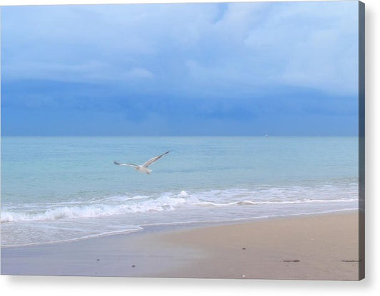 peacefully coasting over the beach acrylic print by jacqueline mb designs