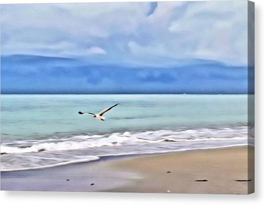 Peacefully Coasting over the Beach - Classic Canvas Print