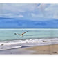 Peacefully coasting over the beach Plush Fleece Blanket 60" x 80"