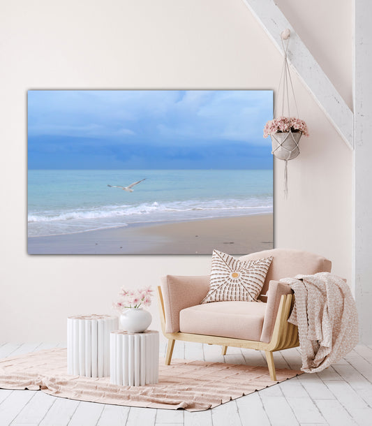 Peacefully Coasting over the Beach  - Classic Metal Print