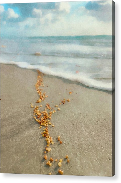 Peddles of the Sea  - Classic Acrylic Print