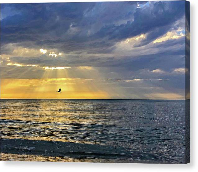 Pelican Flight Through Sunrise - Classic Canvas Print