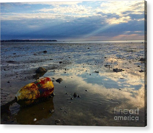 Pick me up off the Mud - Classic Acrylic Print