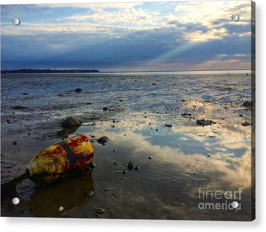 Pick me up off the Mud - Classic Acrylic Print