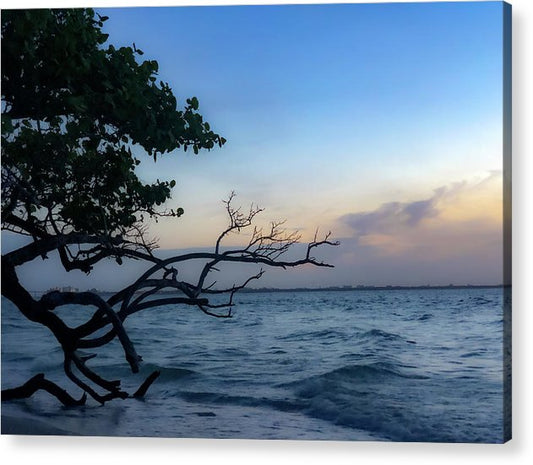 reaching for sunrise acrylic print by jacqueline mb designs