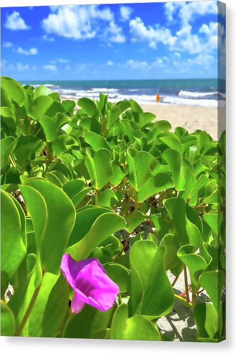 Reaching for the Clouds - Classic Canvas Print