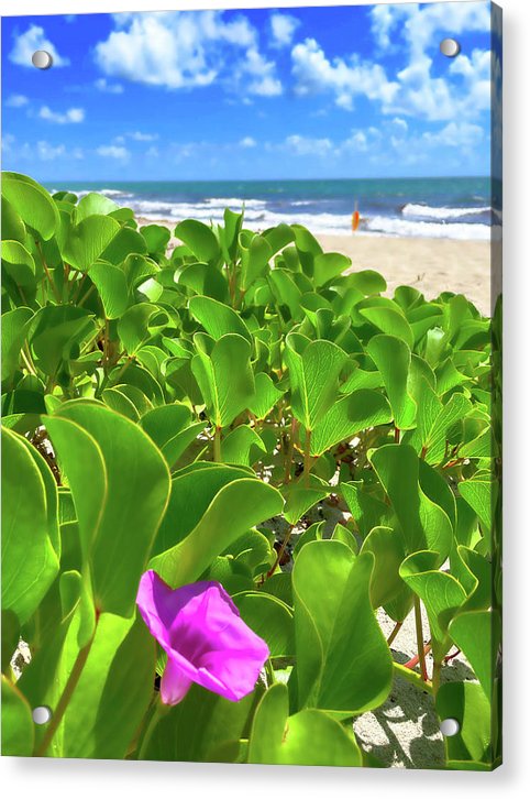 reaching for the clouds acrylic print with posts by jacqueline mb designs