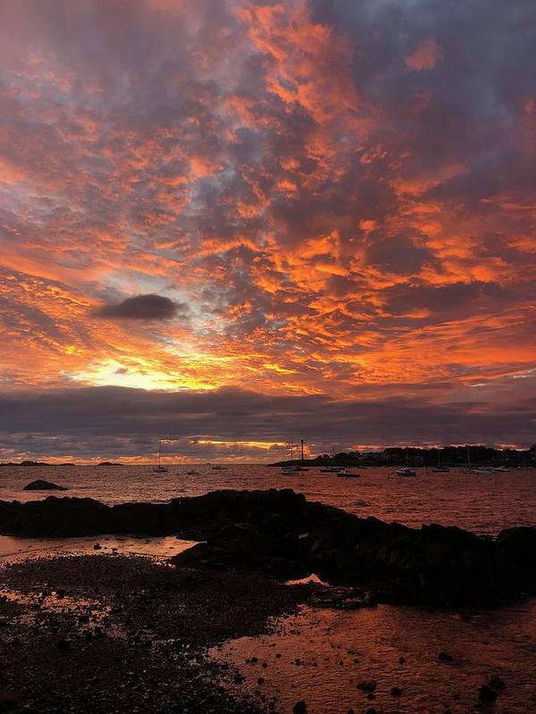 Red Sky Sunrise over Marblehead - Classic Art Print