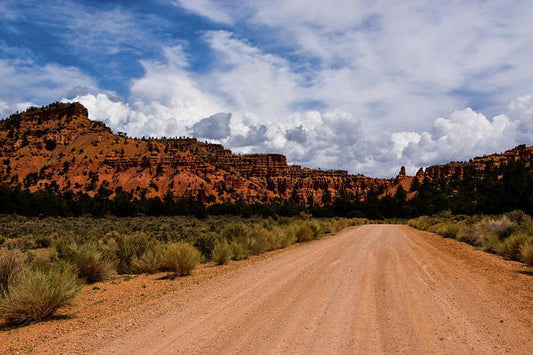 Road to Bryce Canyon  - Art Print