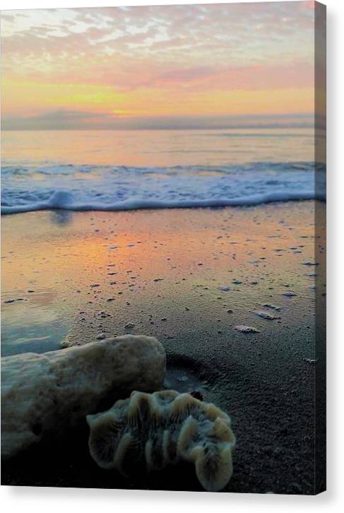 Ruffles on the Beach - Classic Canvas Print