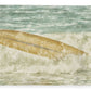 runaway surfboard plush fleece blanket by jacqueline mb designs 