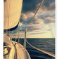 Sunset Sail Southern Florida Plush Fleece Blanket 60" x 80"
