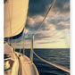 Sunset Sail Southern Florida Sherpa Fleece Blanket 60" x 80 