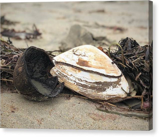 Salt N Pepper - Classic Canvas Print