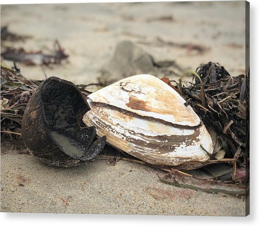 salt n pepper acrylic print by jacqueline mb designs