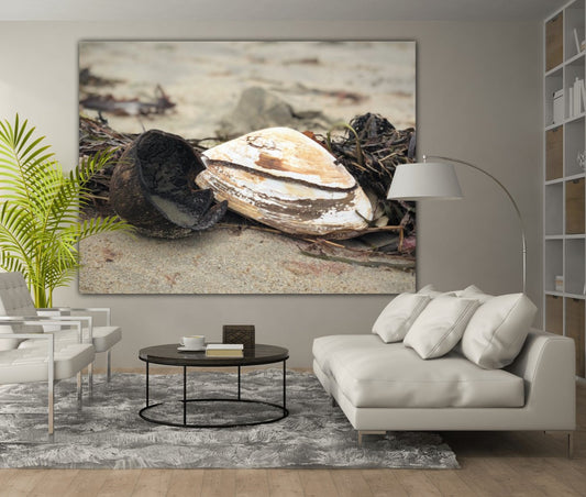 salt n pepper acrylic print home decor by jacqueline mb designs