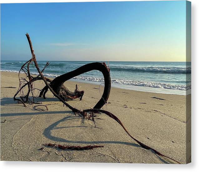 Sea Sculpture - Canvas Print