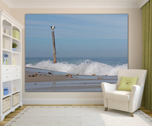 seagull perched high over the waves duxbury beach acrylic print home decor by jacqueline mb designs