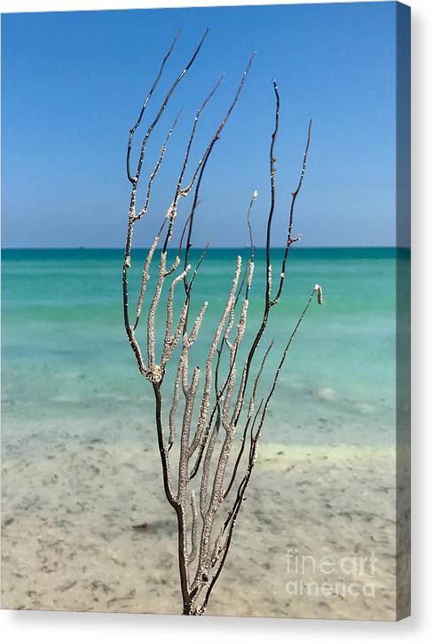 Tropical Sea Tree - Classic Canvas Print