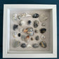 seashell art of blue shells 8x8 shadow box by jacqueline mb designs  front view 