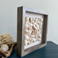 Seashell Shadow Box 9x9 Wood