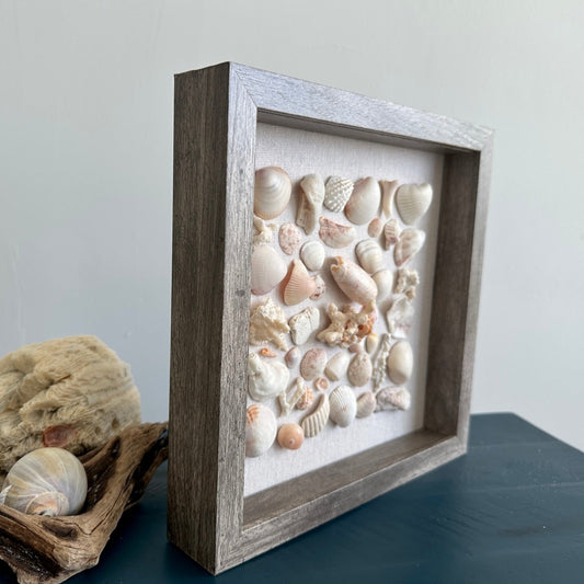 Seashell Art Lettered Olive Seashell - Shadow Box 9x9