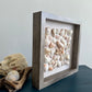 9x9 seashell art featuring olive shell, spiny jewel box shell by jacqueline mb designs side view