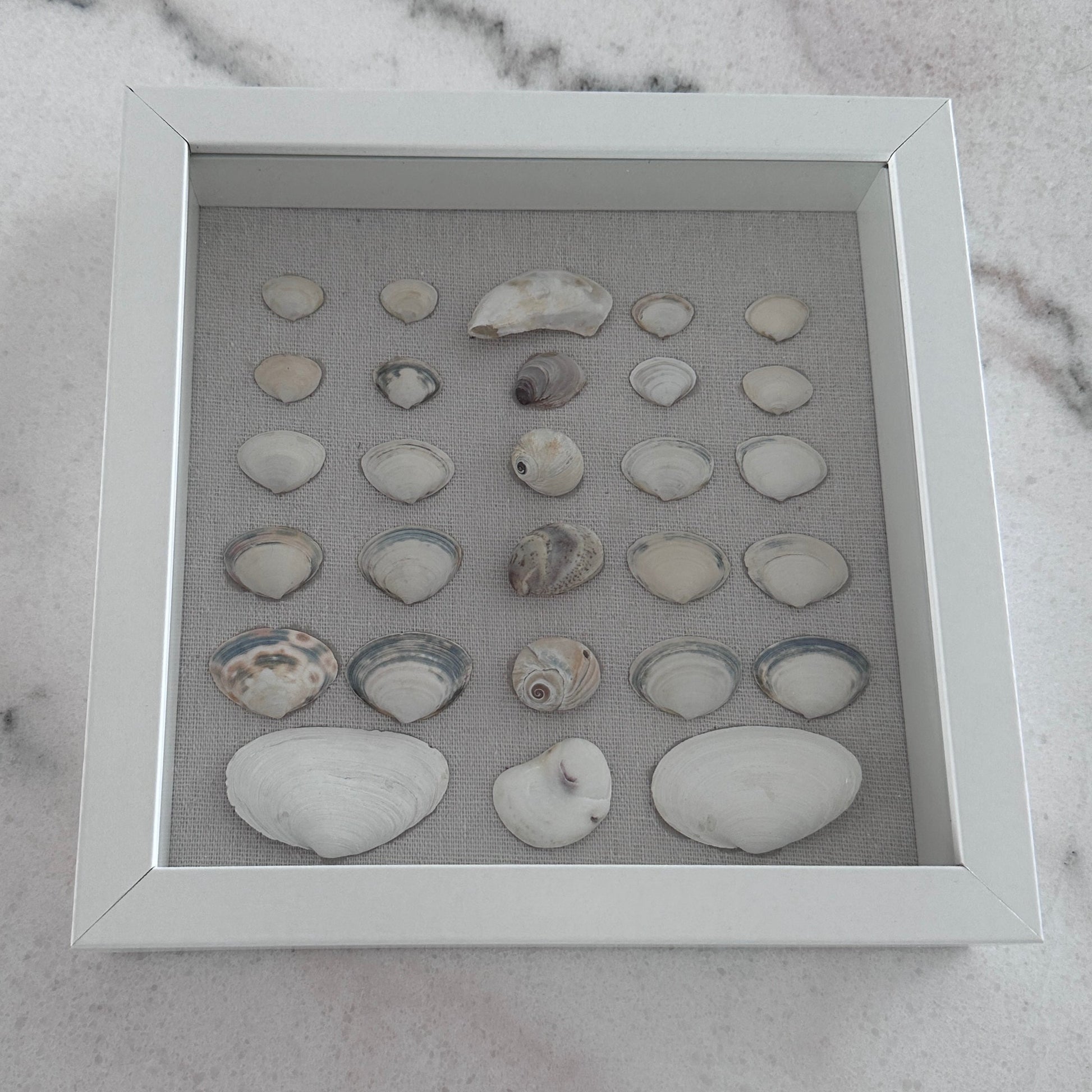 8x8 clam shell shadow box by Jacqueline mb designs 