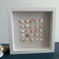 8x8 Seashell art - shells in a row by jacqueline mb designs 