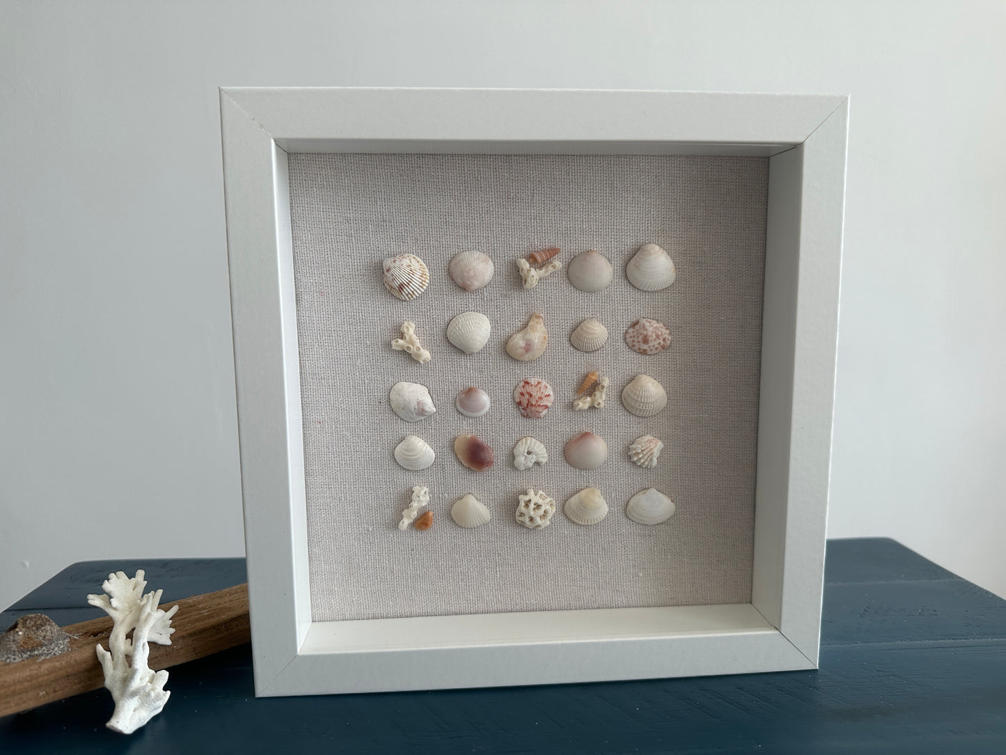 8x8 Seashell art - shells in a row by jacqueline mb designs 