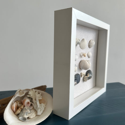 Seashell Art mussel & clam shell 8x8 shadow box by jacqueline mb designs side view 