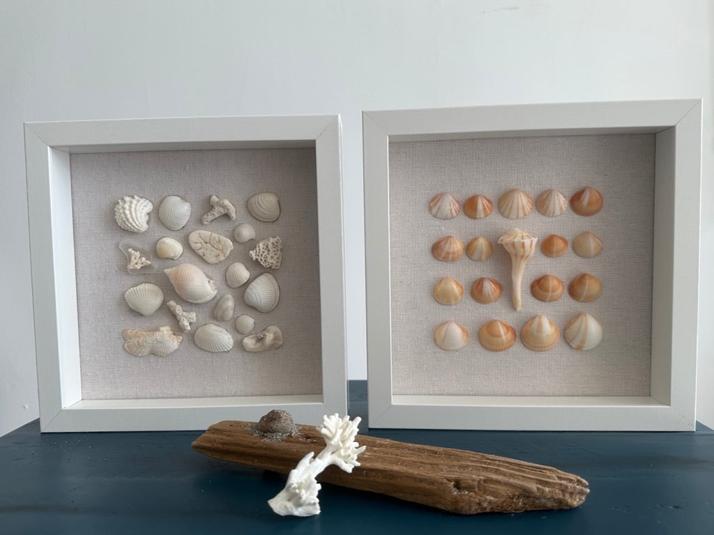 two 8x8 seashell art pieces side by side by jacqueline mb designs