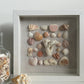 Seashell Art Coral & Pottery - White Shadow Box 8x8