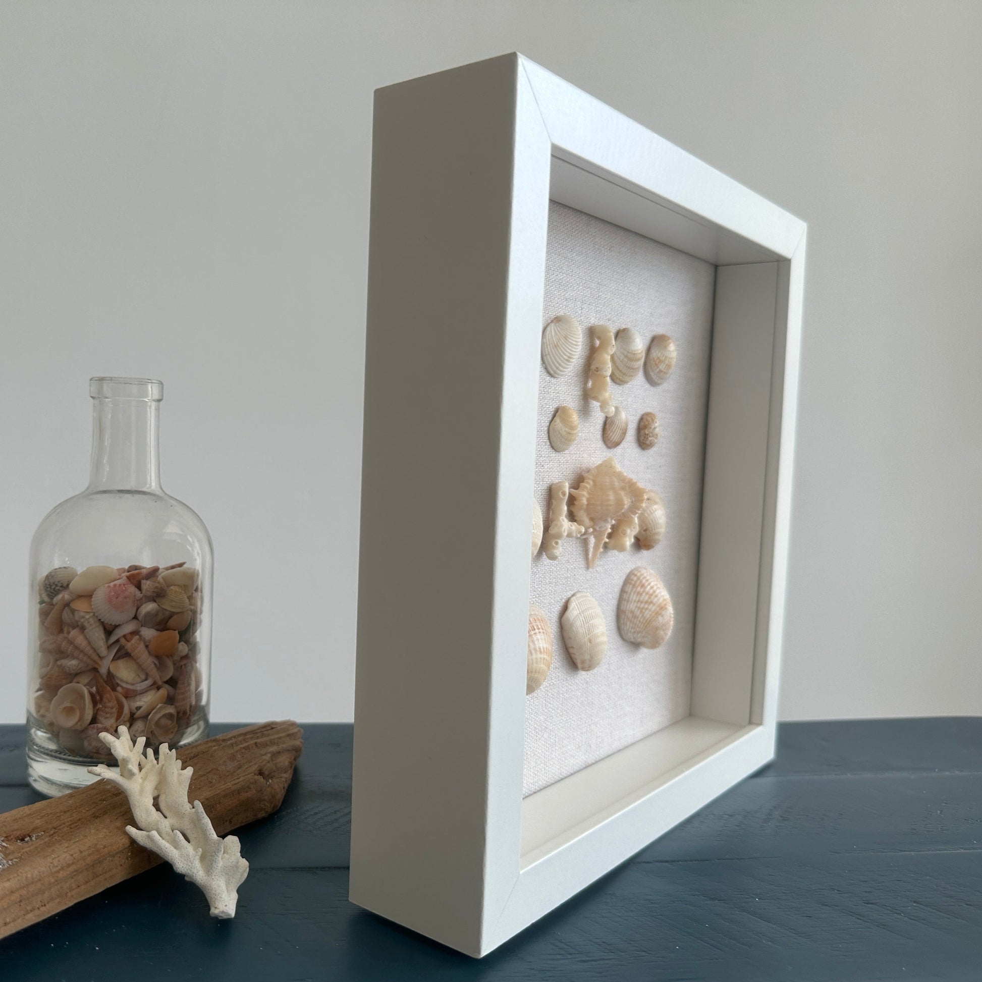 Seashell Art - Murex Ternispina Seashell -  Shadow Box 8x8 by Jacqueline MB Designs side view 