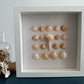 8x8 seashell art Whelk shell by jacqueline mb designs 