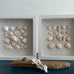 collection of 2 seashell art by Jacqueline mb designs 
