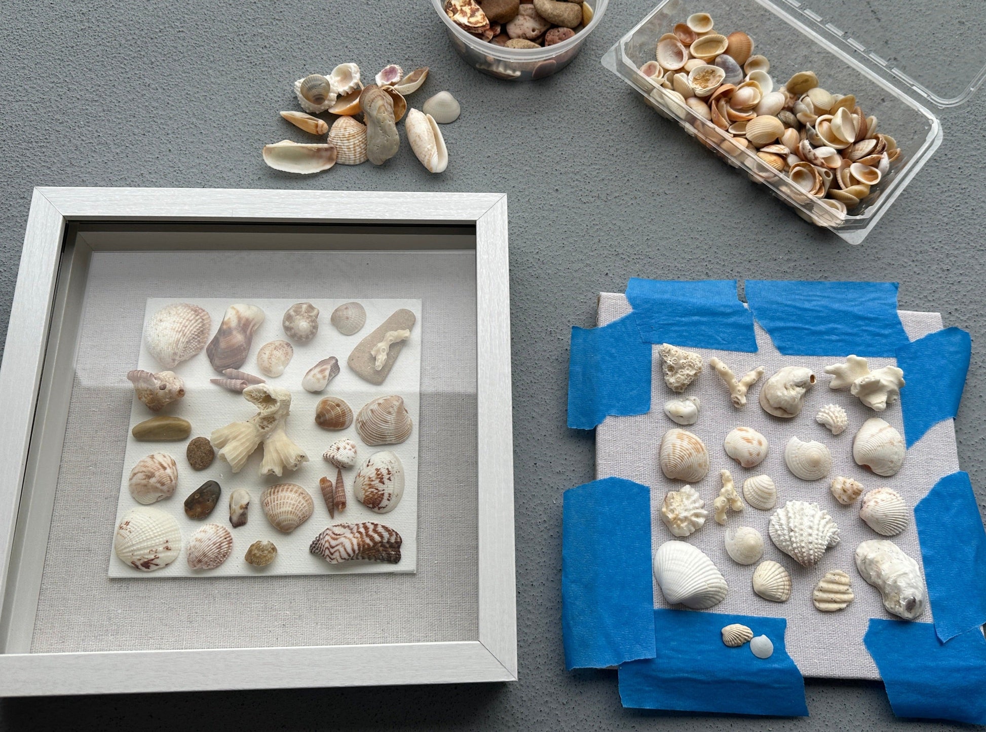 the making of seashell art by jacqueline bergeron - jacqueline mb designs