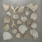 8x8 seashell wall art shadow box white on linen close up by jacquelin mb designs 