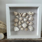 8x8 seashell wall art shadow box white on linen by jacquelin mb designs 