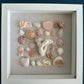 front view of 8x8 seashell shadow box in pinks and white by jacqueline mb designs