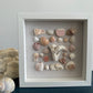 Seashell Art Coral - White Shadow Box