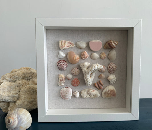 Seashell Art Coral - White Shadow Box
