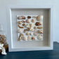 Seashell art 9x9 shadow box whites, browns, orange  by Jacqueline bergeron jacqueline mb designs