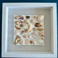 Seashell art 9x9 shadow box whites, browns, orange  front view Jacqueline mb designs 