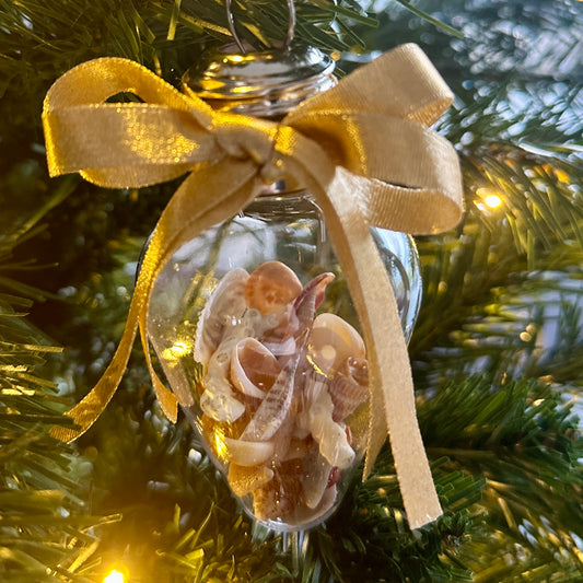 Seashell Ornament - Bulb