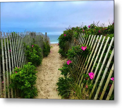 Beach Plums, Sand and Ocean - Classic Metal Print