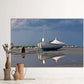 classic wooden boat reflection duxbury bay wall art jacqueline mb designs