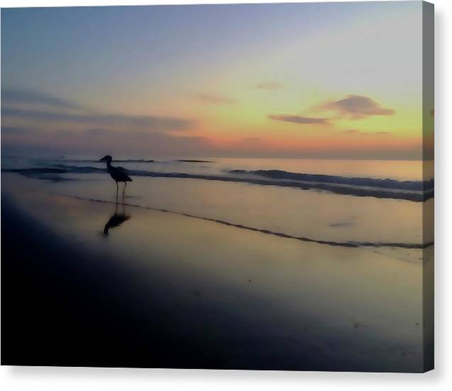 Egret enjoy morning at beach canvas print by Jacqueline mb designs 